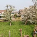IMG_756527