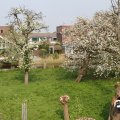 IMG_756528