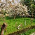 IMG_756530