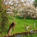 IMG_756532