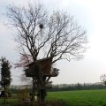 IMG_756536