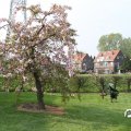 IMG_756537