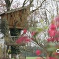 IMG_756542