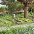 IMG_756549