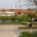 IMG_756550