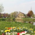 IMG_756554