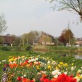 IMG_756556