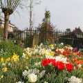 IMG_756561