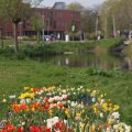 IMG_756563