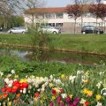 IMG_756568