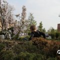 IMG_756570