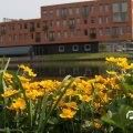 IMG_756575
