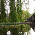 IMG_756579