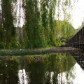 IMG_756580