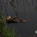 IMG_756582