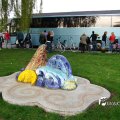 IMG_756612
