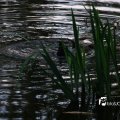 IMG_756675