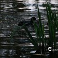 IMG_756678