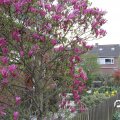 IMG_756704