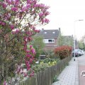 IMG_756705