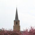 IMG_756711