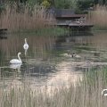 IMG_756720