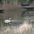 IMG_756721