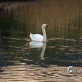 IMG_756723