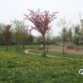 IMG_756726