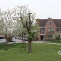 IMG_756747