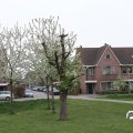 IMG_756748