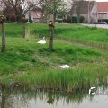 IMG_756750