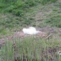 IMG_756751