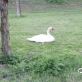 IMG_756752
