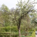 IMG_756779