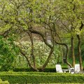 IMG_756780