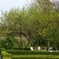 IMG_756781