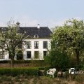IMG_756782