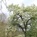 IMG_756789