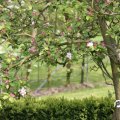 IMG_756801