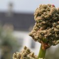 IMG_756804