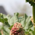 IMG_756807