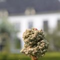 IMG_756811