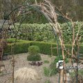 IMG_756812