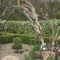 IMG_756819