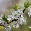 IMG_756824