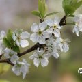 IMG_756825