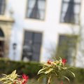 IMG_756833