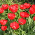 IMG_756834