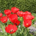 IMG_756839
